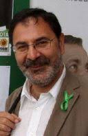 David Hammerstein: «El 'boom' urbanístico muestra una sed insaciable»