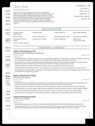 8 Job Winning Cv Templates Curriculum Vitae For 2021