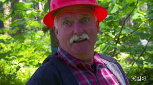 Oregon's Last Horse Logger