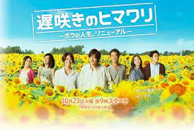 遅咲きのヒマワリ ボクの人生 リニューアル osozaki no himawari late blooming sunflower my life renewed jdrama
