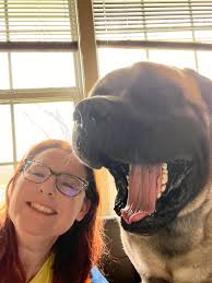 Zen, pre-giant yawn 😹 #fatbadgerbabies