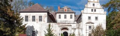 Verkauf Renaissanceschloss In Mitteldeutschland Schloss Grossmuhlingen Kaufen In Sachsen Anhalt Realportico Immobilien Angebote Schloss Immobilien Kaufen