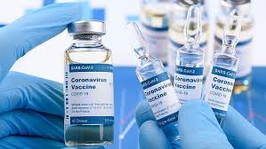 It is a whitish clear liquid, containing thimerosal as preservative. Explained Why Is Cdsco Silent On Brazil S Report On Bharat Biotech Plant