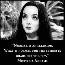 Aiden the Numerologist