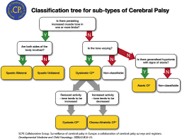Clinical Classification Of Cerebral Palsy Intechopen