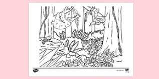 Freshwater habitats may make up less than 0.5% of the water supply of the world, but are extremely vital to humans and animals. Animals Habitat Scenes Colouring Pages Teacher Made
