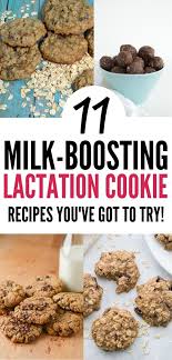 11 Recipes For Milk Boosting Lactation Cookies Lactation Cookies Easy Lactation Cookies Recipe Lactation Recipes