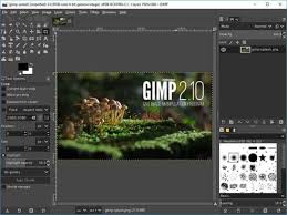 The 8 Best Free Graphic Design Software In 2020 A proper vector editor above all else.