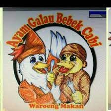 Ayam yang sering kita temui biasa adalah ayam potong dan ayam petelur dan biasanya ayam dapat dikawin silangkan dengan kerabat sesama ayam yang akan menghasilkan bibrida mandul yang jantannya dikenal sebagai ayam bekisar. L Oyan Project Fauzankasno Profil Pinterest