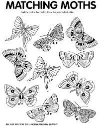 A moth's closest relative is a butterfly. Moth Match On Crayola Com Coloring Pages Free Coloring Pages Thanksgiving Worksheets