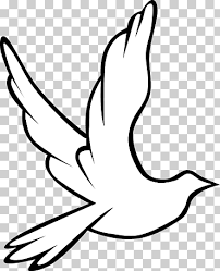0 ratings0% found this document useful (0 votes). Espiritu Santo En El Cristianismo Palomas Como Simbolos De Dibujo Paloma S S Cristianismo Blanco Mano Png Klipartz