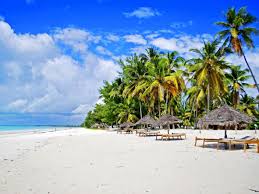 214.232 unabhängige bewertungen von hotels, restaurants und sehenswürdigkeiten sowie authentische reisefotos. Destination Inspiration Zanzibar Tanzania Booking Com