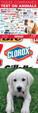 Check spelling or type a new query. Am I Too Early For The Photoshop Contest These Companies Test On Animals Know Your Meme