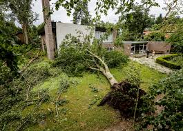 Onder meer in leersum in utrecht ging het er heftig aan toe. 7sx8zclt7ww9nm