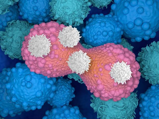 Smart drug that strips cancer cells of 'invisibility cloak' can shrink  tumours by 30%, trial shows | Cancer | The Guardian