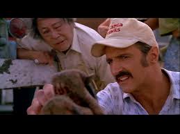 Life Between Frames: Tremors (1990)