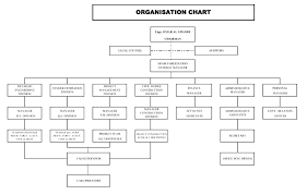 company structure template word