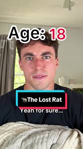 Stuart Little The Movie Stories