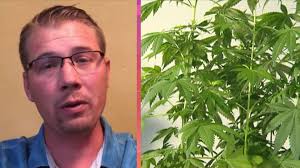 MPs 'very, very unprepared' for 'significant infrastructure change'  required for legalisation of cannabis, US anti-cannabis activist says