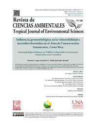 Image result for Monotes dasyanthus