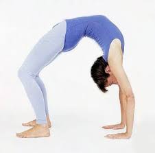 Maybe you would like to learn more about one of these? Contraindicated Yoga Poses For Scoliosis Moves To Avoid