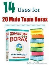 14 Uses For 20 Mule Team Borax A Coupon The Centsable Shoppin 20 Mule Team Borax Borax Borax Uses