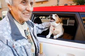 Alone together: Seniors experienced heightened isolation during COVID-19  pandemic