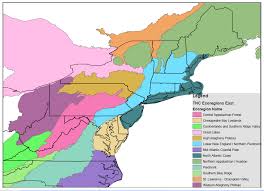 The light factors of terrestrial habitat fluctuate with the season and the altitude. Https Www Conservationgateway Org Conservationbygeography Northamerica Unitedstates Edc Documents Habitatguides Terrestrial Habitat Guide 10012013 Nap Ne Lne Pdf