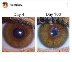 This article outlines how to change eye color, including temporary and permanent options if you're wondering how to change eye color permanently, surgery may be an option. Eye Lightening Is It Possible To Change Your Eye Color Change Your Eye Color Eye Color Change Eye Lightening