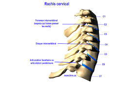 © 2003 by demos medical publishing. Quoi Faire Pour Soulager Rapidement La Douleur Et Eviter Les Recidives