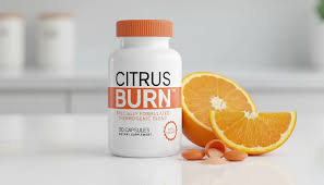 Best weight loss supplement 2026