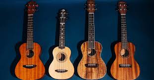 We did not find results for: The Best Ukulele For Beginners Reviews By Wirecutter