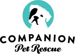 Our focus is on helping with the rescue and adoption of washington state dogs and cats. Pets For Adoption At Companion Pet Rescue New England In Watertown Ct Petfinder