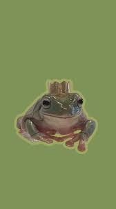 Find hd wallpapers for your desktop, mac, windows, apple, iphone or android device. A Royal Froggie In 2021 Frog Wallpaper Cute Frogs Frog Pictures