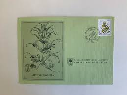 Image result for Littonia modesta