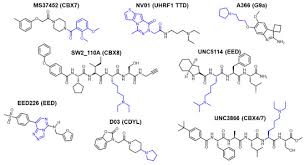 Molecules Free Full Text Design And Construction Of A Focused Dna Encoded Library For Multivalent Chromatin Reader Proteins Html