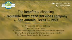 The highest rated lawn service in san antonio and. The Benefits Of Choosing A Reputable Lawn Care Services Company In San Antonio Texas For 2021 Gomow