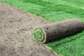 Instant grass, also known as sod, is priced at $0.35 to $0.85 per square foot on average. Dimensions And Weight Of Sod Rolls