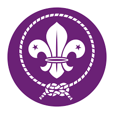 The use of the wmo emblem (or logo), its name or abbreviation is restricted and protected under article 6ter of the paris convention for the protection of industrial property. Wosm Logo Download Vector