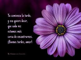 We did not find results for: Frases De Buenas Tardes Amor Bonitas Y Originales Frases Con Emocion