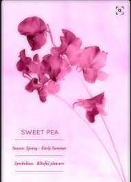 The Sweet Pea An April Birth Flower Birth Flowers April Birth Flower Sweet Pea