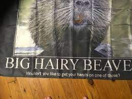AUS SELLER 5 X 3 FOOT Big hairy beaver funny man cave wall hanging bar  banner | eBay
