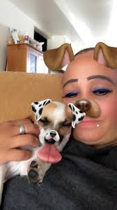 Lost dog found after 2 weeks