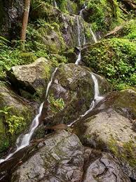 Past the jim bales place are the ephraim bales place and alfred reagan place. Roaring Fork Great Smoky Mountains National Park U S National Park Service