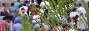 Palm sunday is the sunday before easter that begins the holy week. What Is Palm Sunday And Why Do We Celebrate It Infinity Insurance