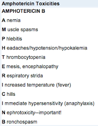 Amphotericin Toxicities Pharmacology Nursing Nursing Study Pharmacology