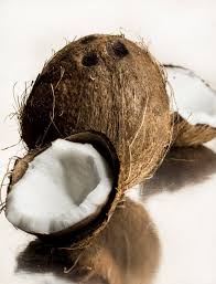 Bildergebnis für Morris Zerner