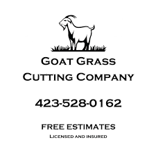 These hardy animals love to eat the toughest weeds, even brambles or poison oak. Goat Grass Cutting Company Home Facebook