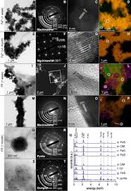 Russia, west siberia, baikal region and amur lower reach 5,6. Frontiers Mechanisms Of Pyrite Formation Promoted By Sulfate Reducing Bacteria In Pure Culture Earth Science