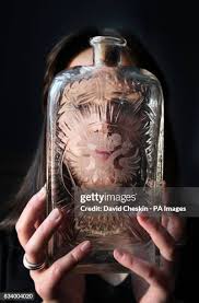 258 David Rutter Stock Photos, High-Res Pictures, and Images